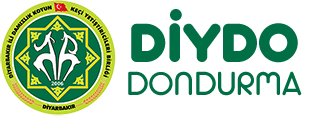 Diydo Dondurma